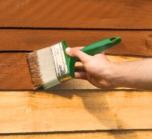 Fence Paint/Treatment